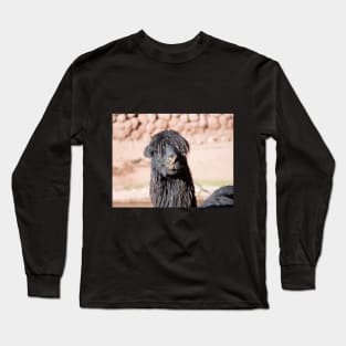 Black and Shaggy Llama Long Sleeve T-Shirt